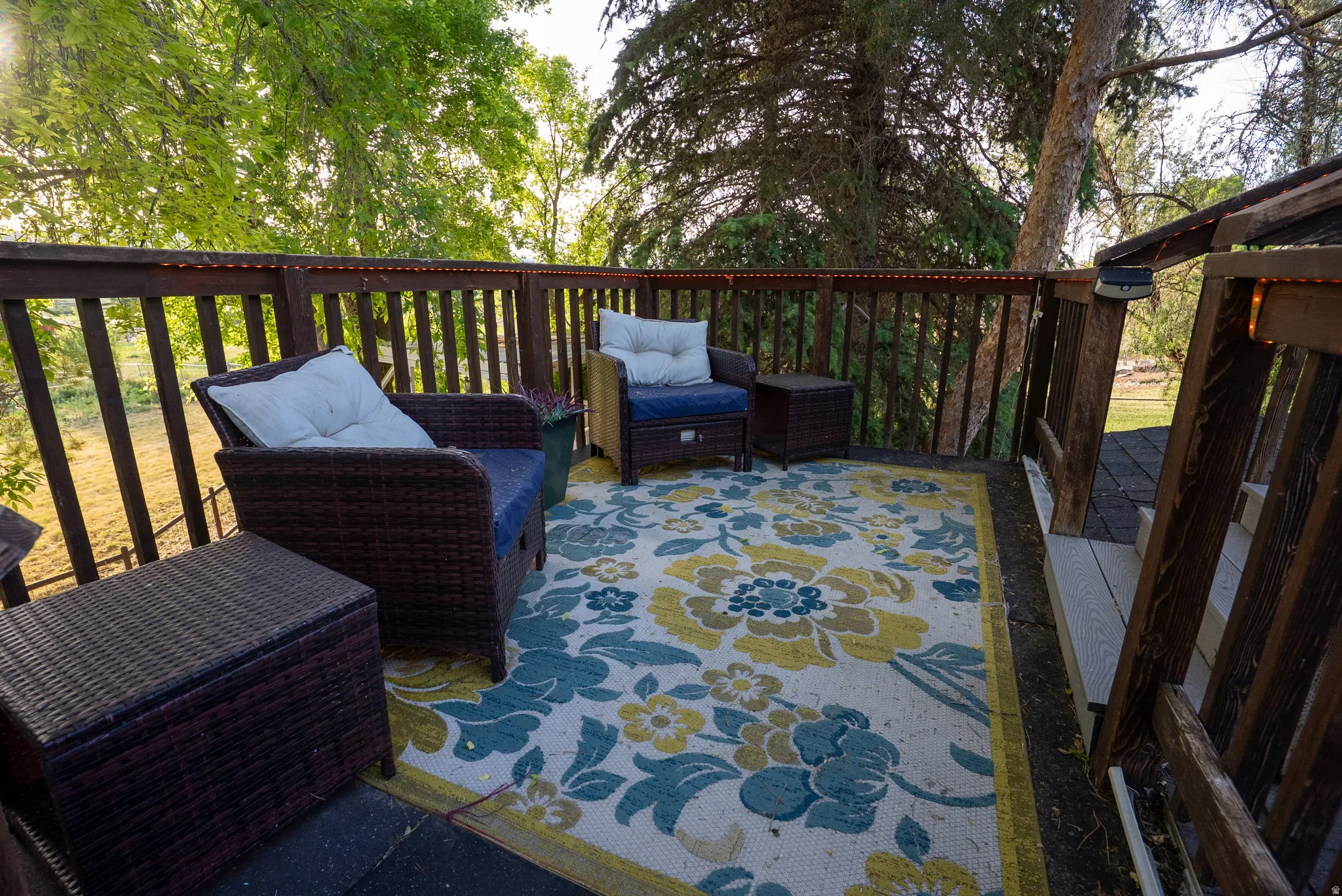 Elevated outdoor deck with a dark wood railing and balusters