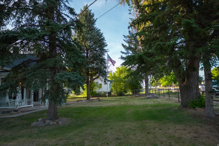 Expansive lawn bordered by mature trees and a partial metal fence