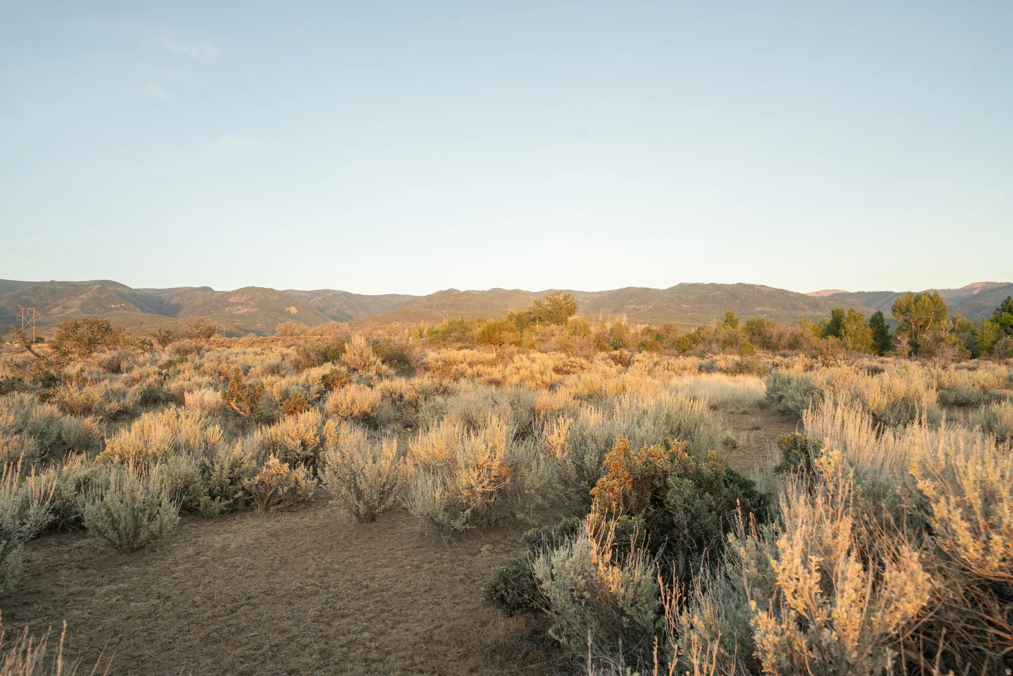 Expansive natural landscape featuring varied shrubbery and distant mountainous terrain