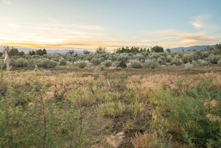 Expansive open lot featuring varied natural vegetation, distant mountains, and an open sky