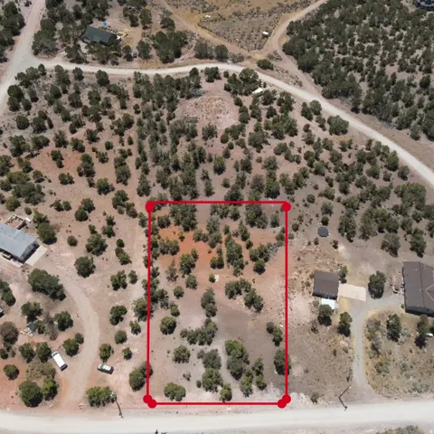 Expansive land parcel featuring natural desert vegetation, mature shrubs, and a dirt road frontage