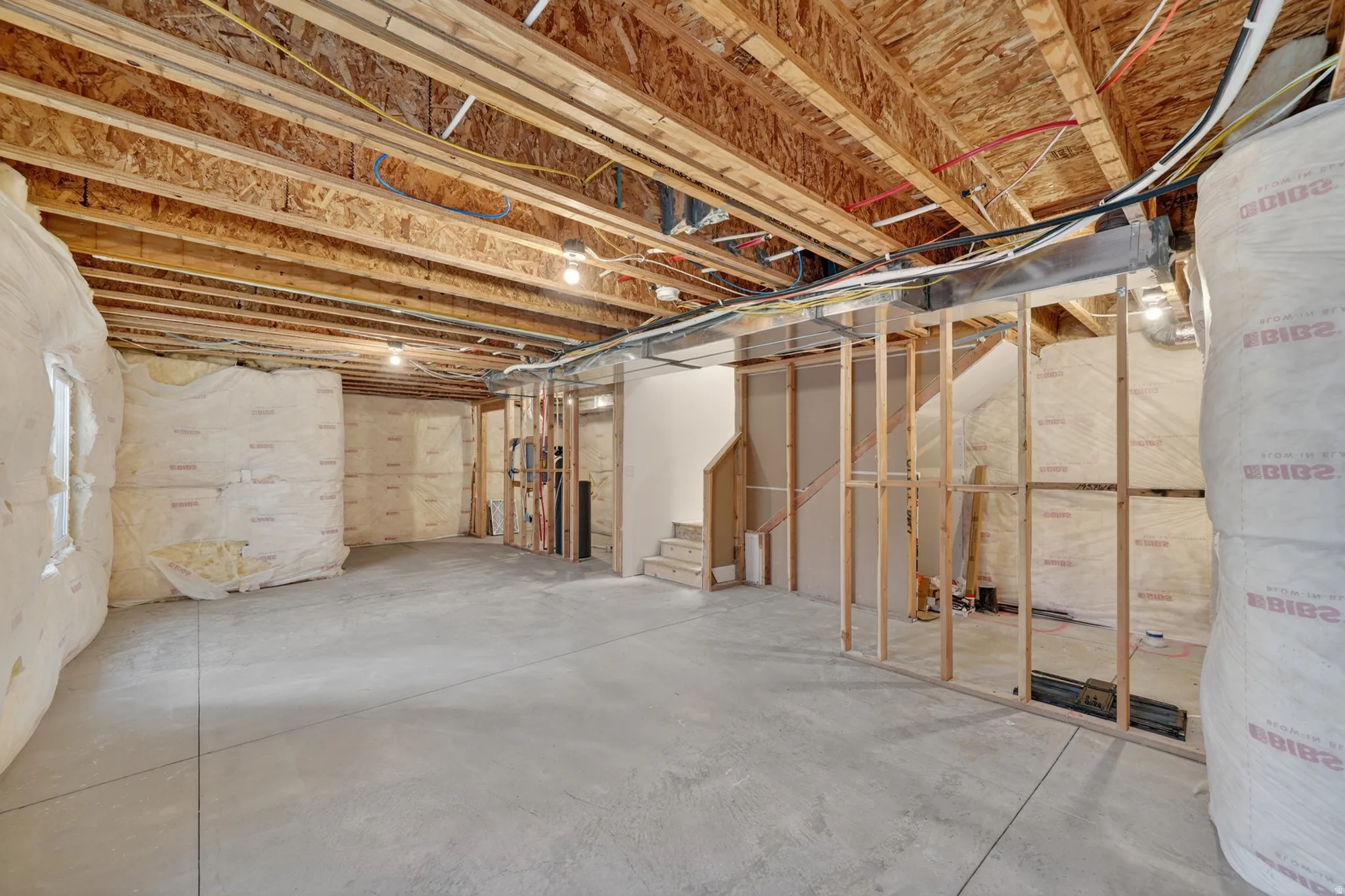 Basement