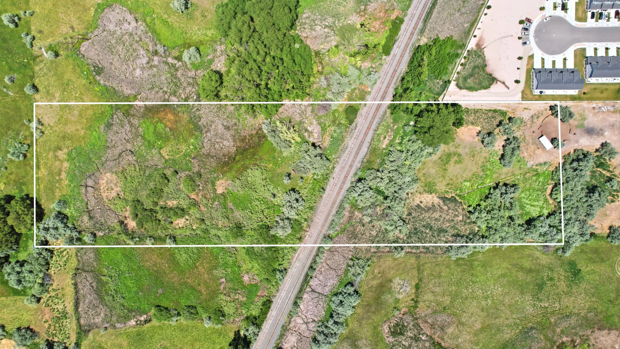 Expansive rectangular parcel featuring diverse vegetation and natural ground cover
