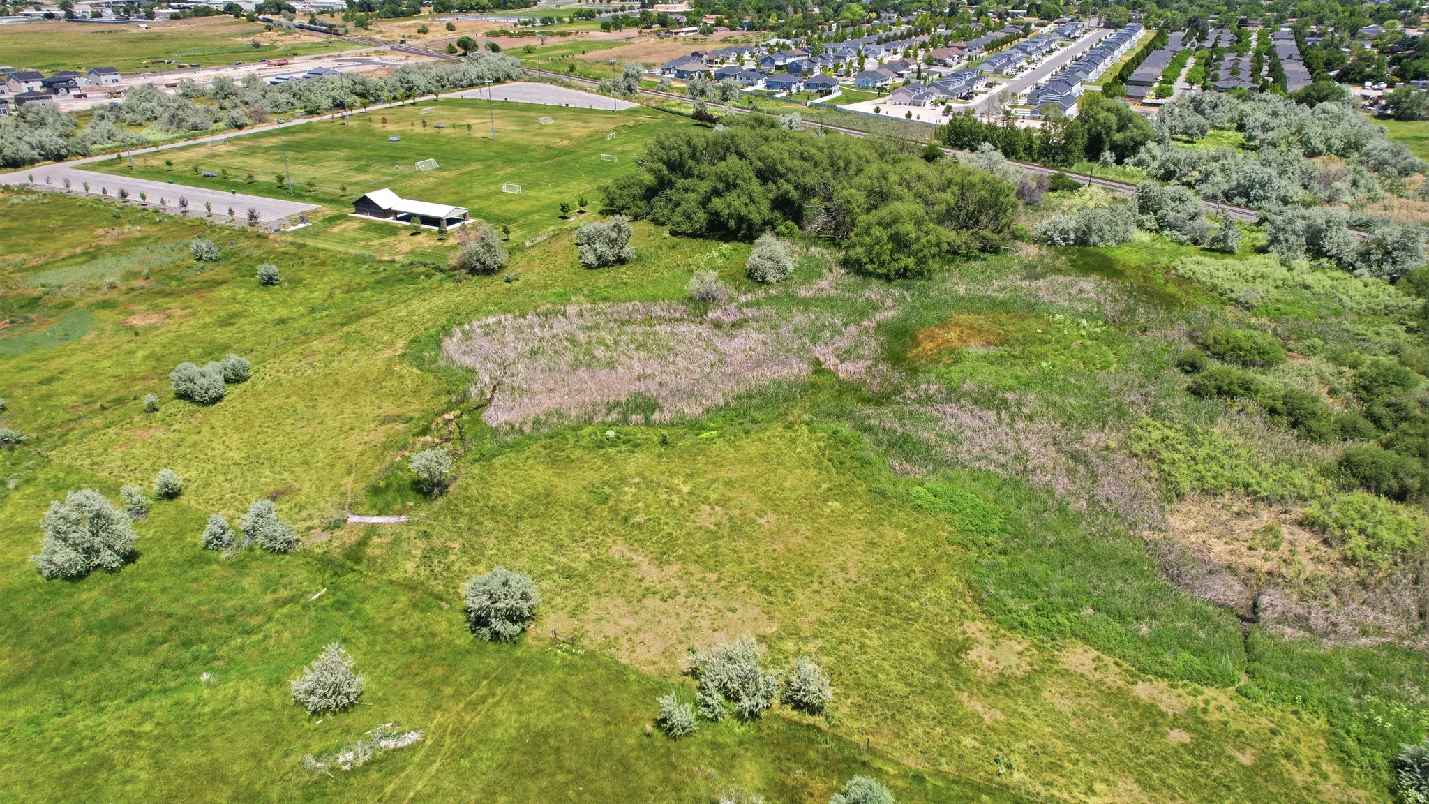 Expansive green space featuring various trees and natural vegetation