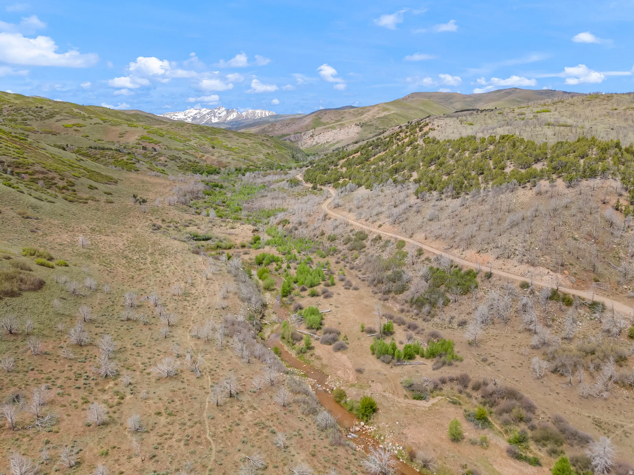 Expansive mountainous landscape featuring natural vegetation, a winding unpaved road, and distant snow-capped peaks