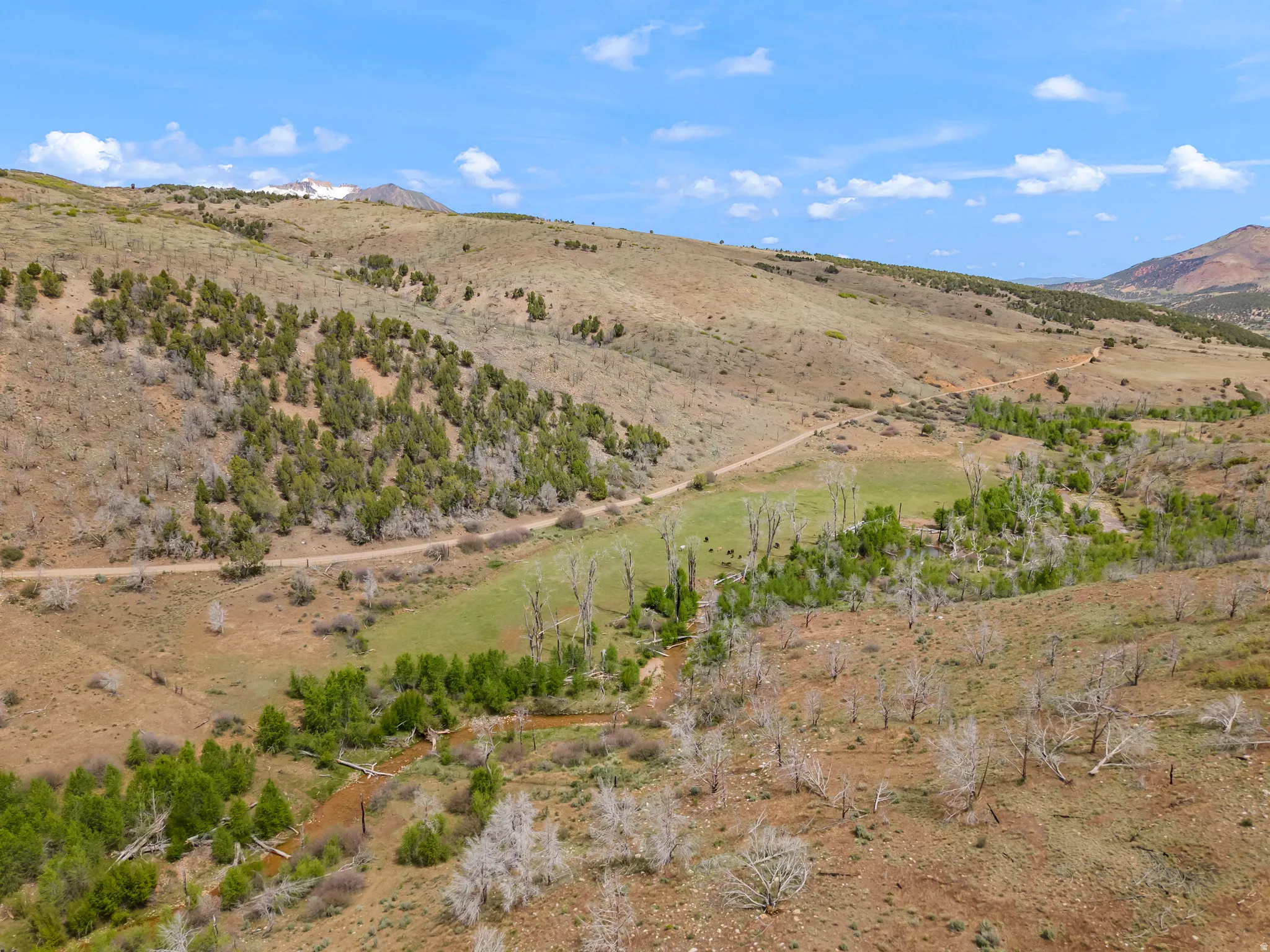 Expansive mountainous terrain featuring a dirt road, varied vegetation including green and dry foliage, and a prominent blue sky with clouds