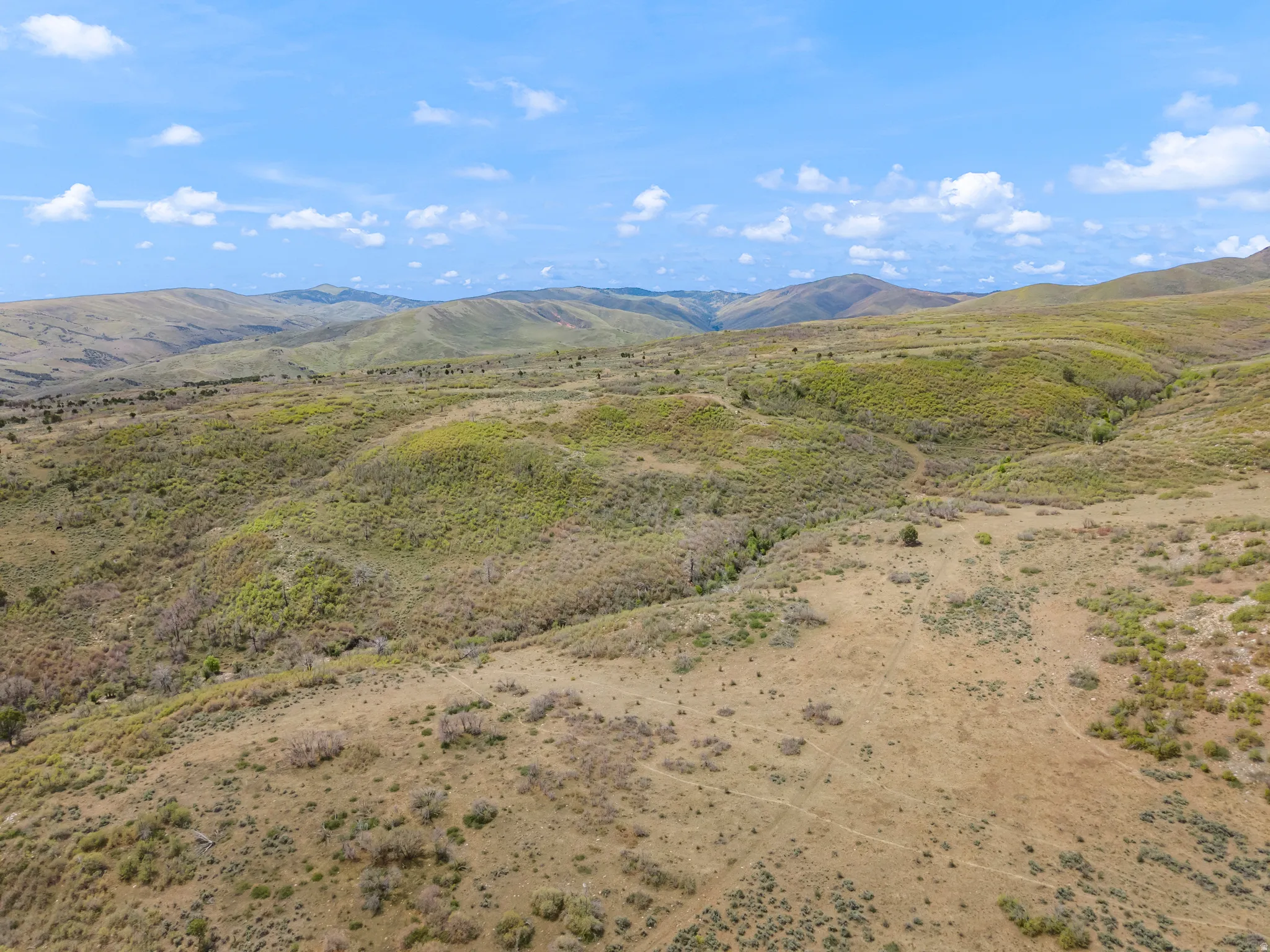Expansive undeveloped land featuring rolling hills and varied natural vegetation