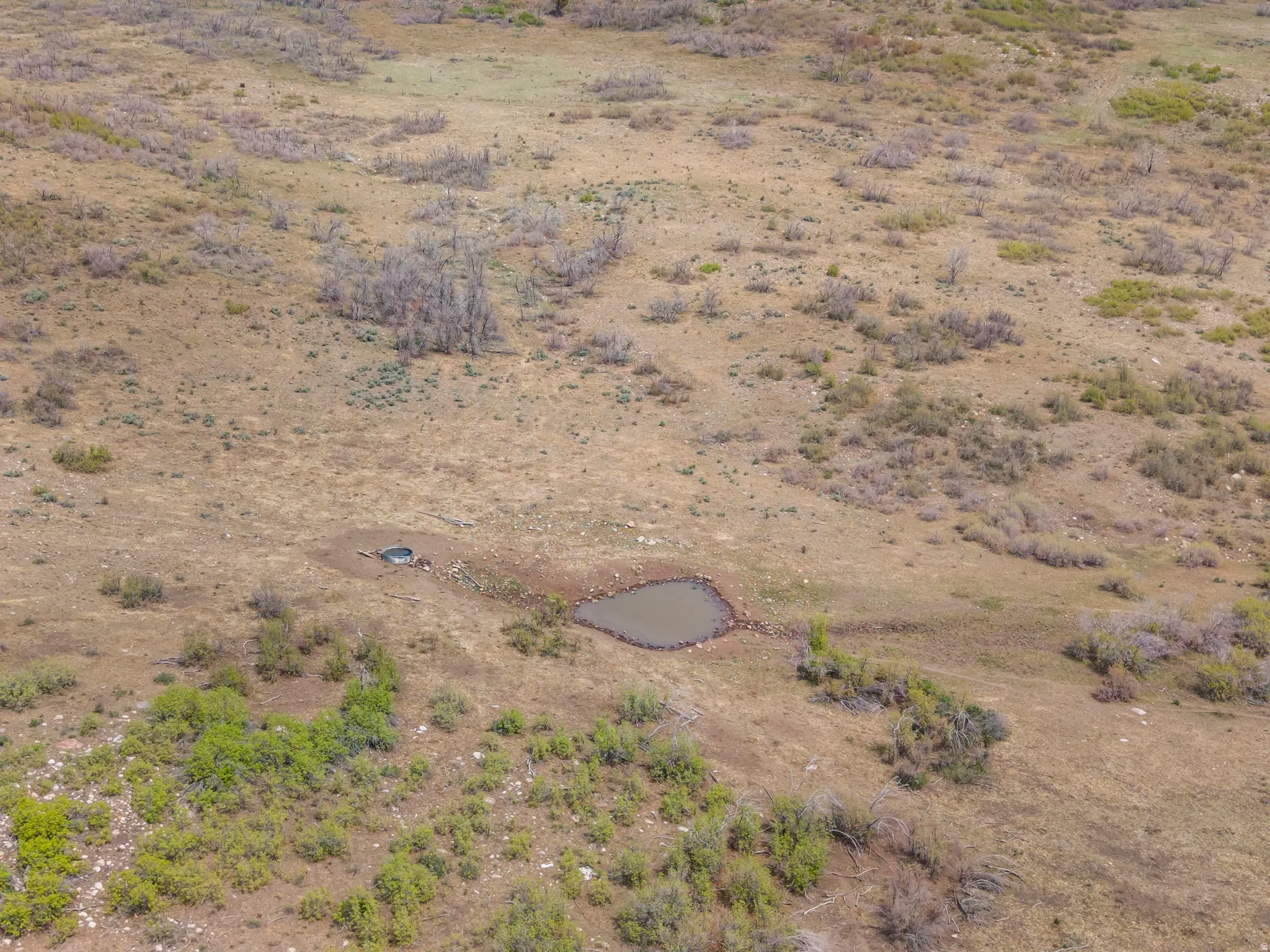 Expansive acreage featuring natural vegetation and an established pond