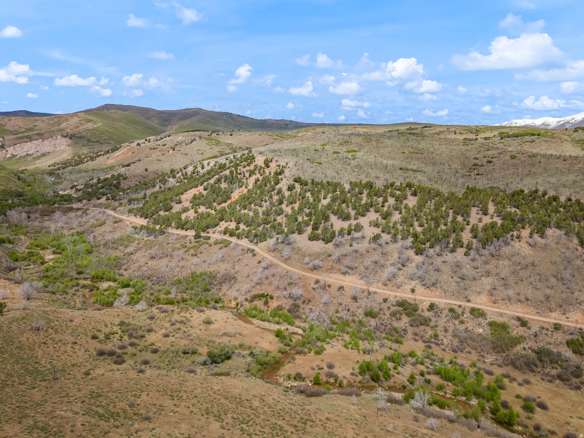 Expansive natural landscape featuring rolling hills and varied vegetation