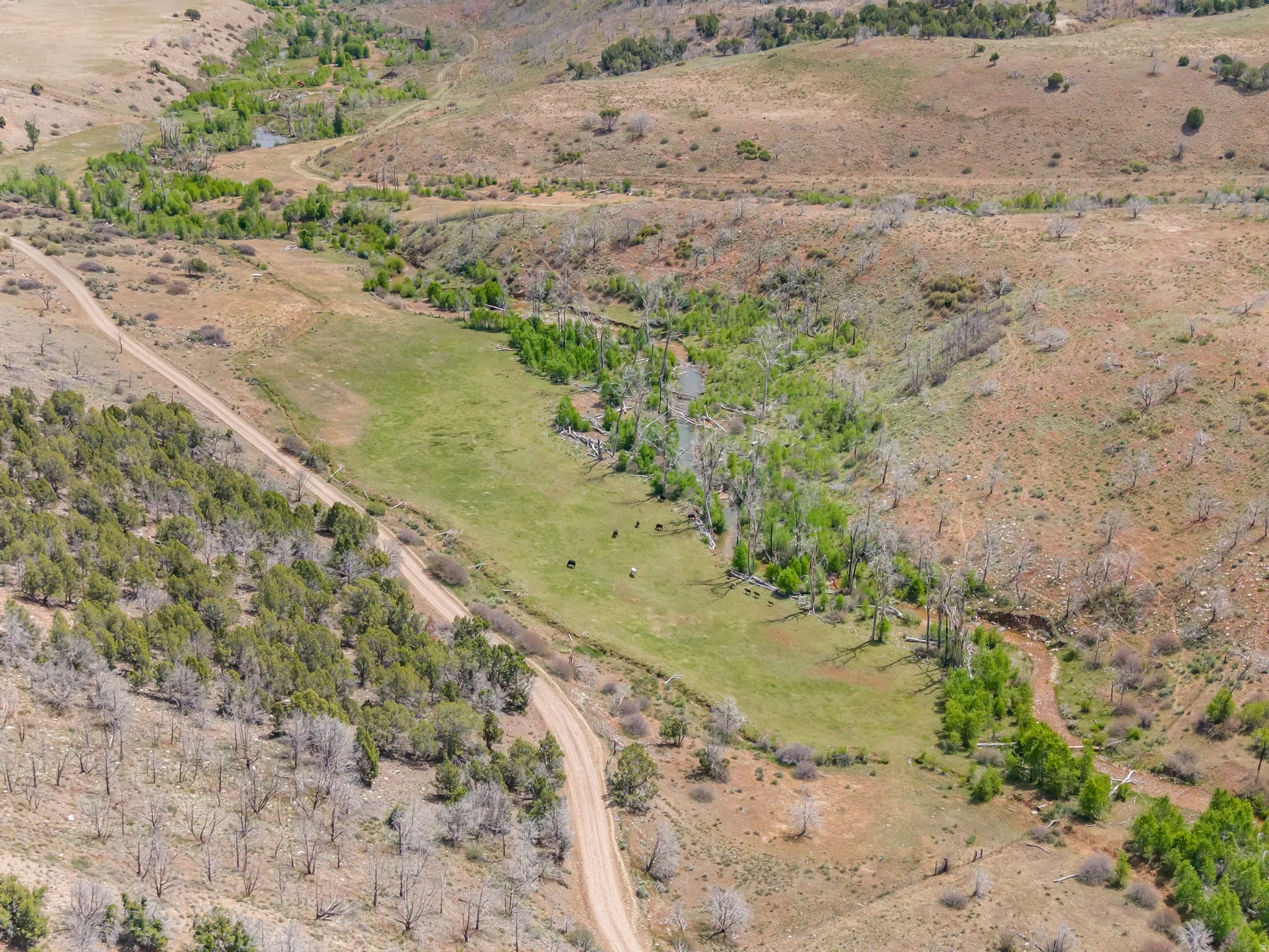 Expansive acreage featuring a verdant green pasture, a meandering natural waterway, and a dirt road providing access