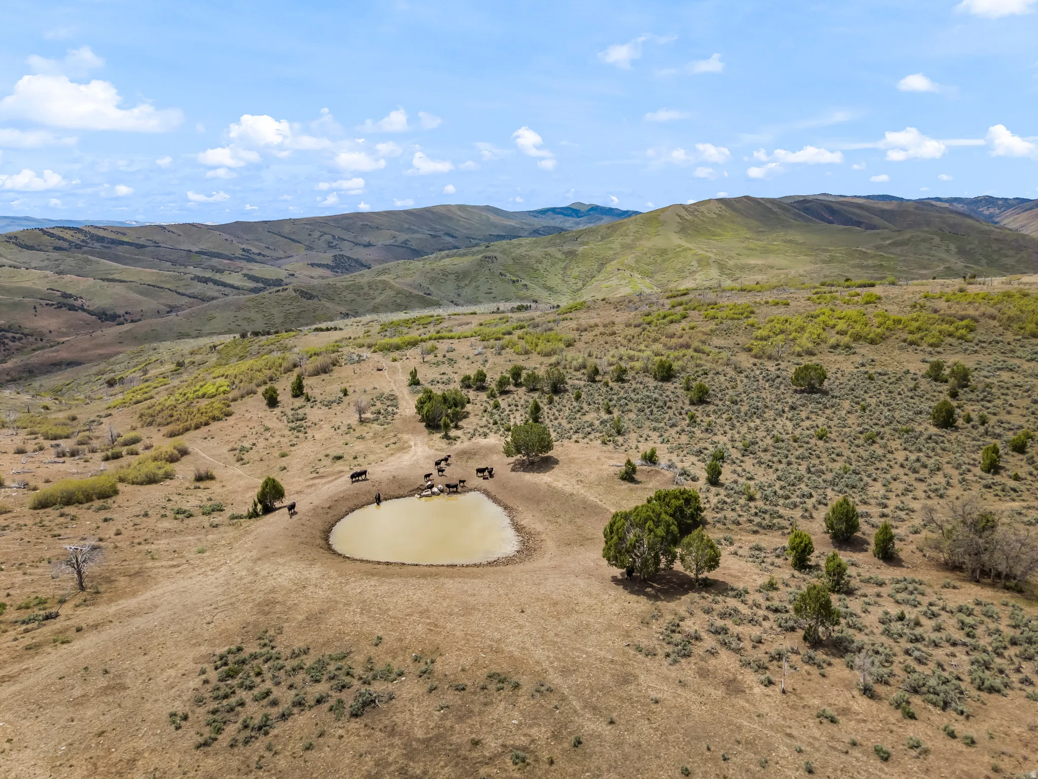 Expansive high desert landscape featuring rolling hills and a natural water source