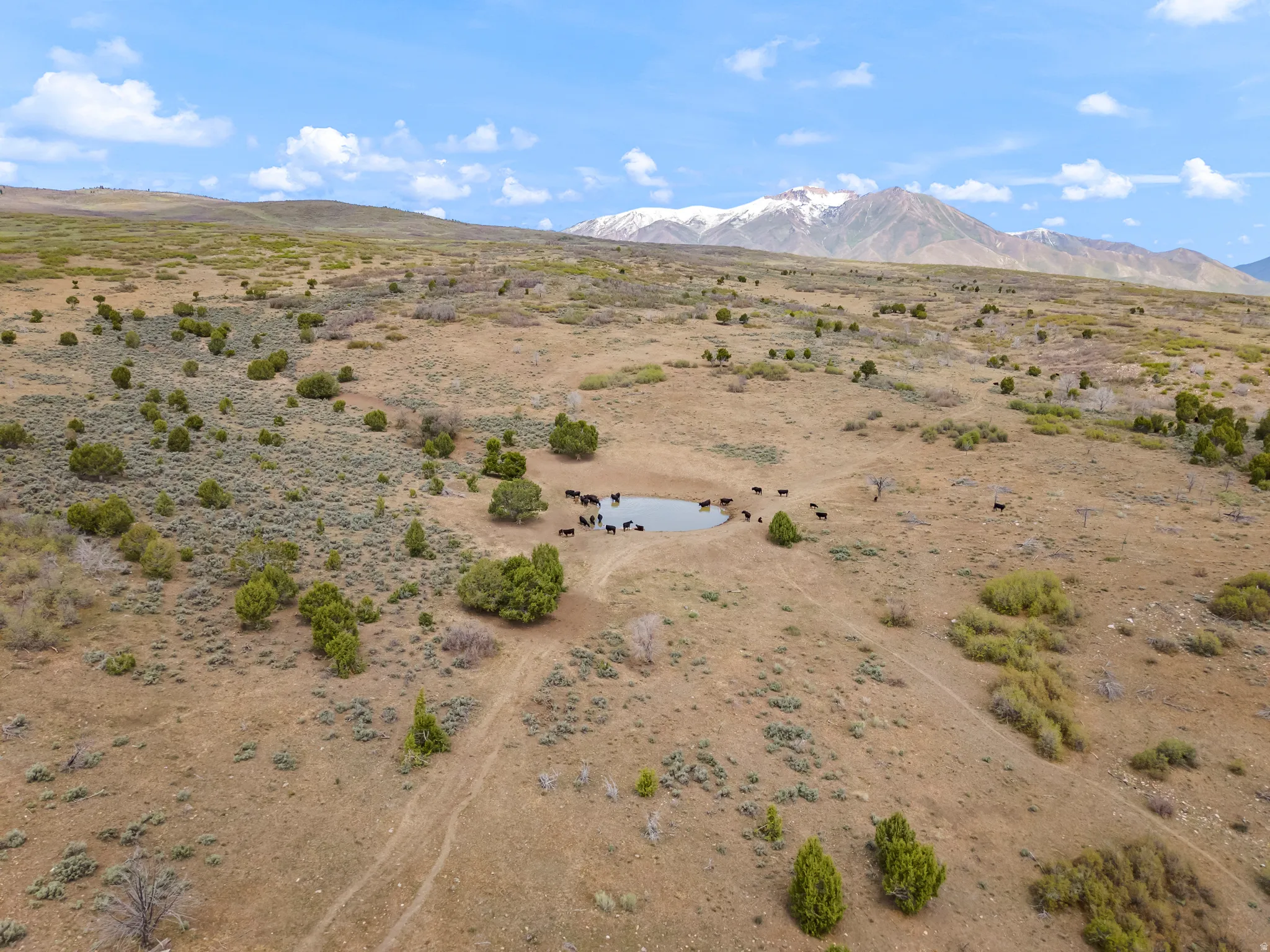 Expansive rural landscape featuring a natural pond and varied vegetation