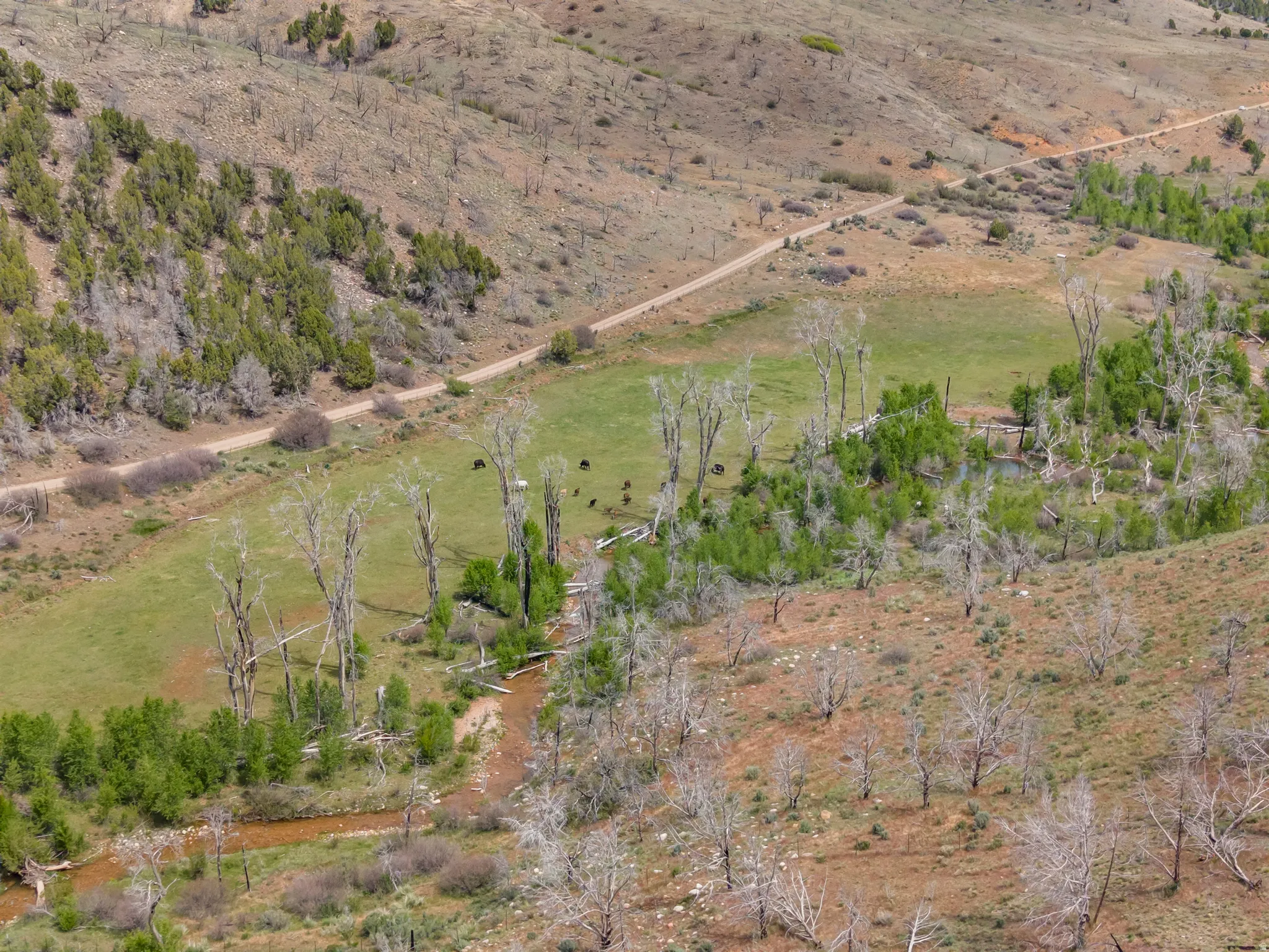 Expansive acreage featuring natural terrain, a winding stream, varied tree coverage, and an unpaved access road