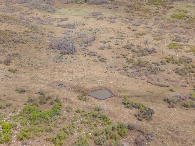 Expansive acreage featuring natural vegetation and an established pond