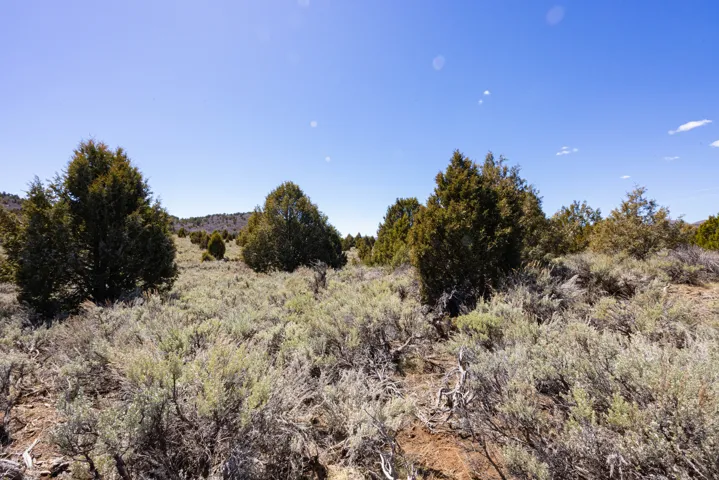 240 Acres, Glendale, Utah 84729