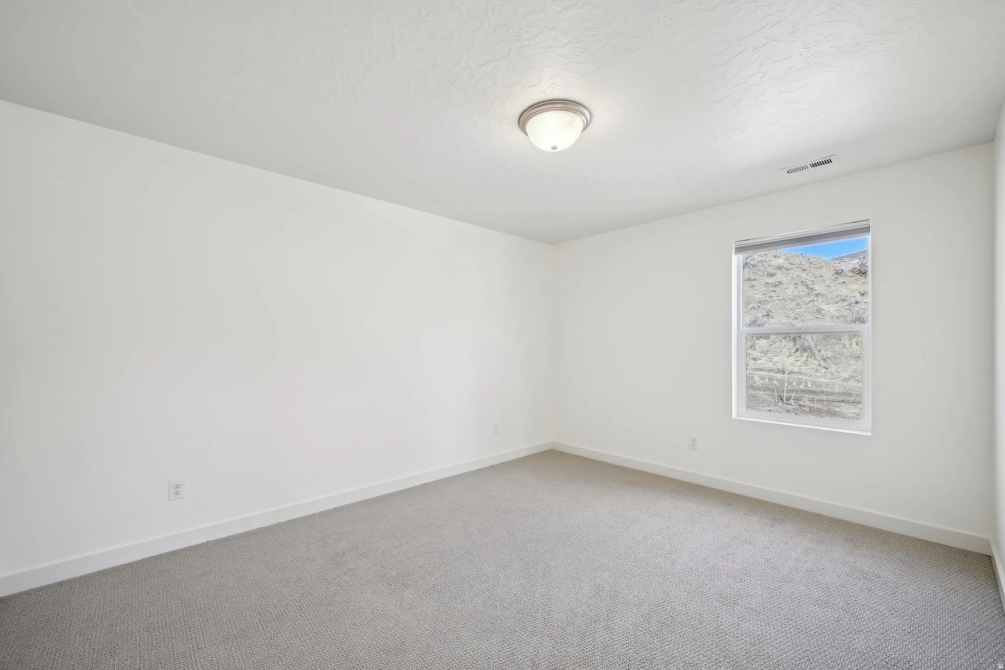 Carpeted room featuring a single window and a flush-mount ceiling light