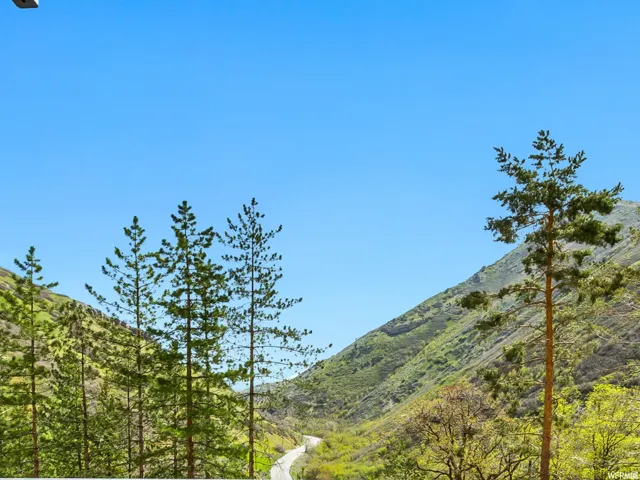 THIS is the view of Emigration Canyon from the living room and bedroom.
