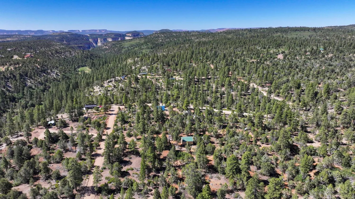 Expansive wooded acreage featuring diverse evergreen foliage and natural clearings