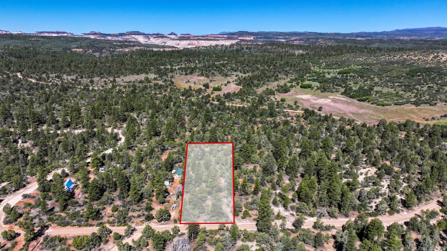 Expansive wooded acreage featuring diverse tree coverage and natural terrain