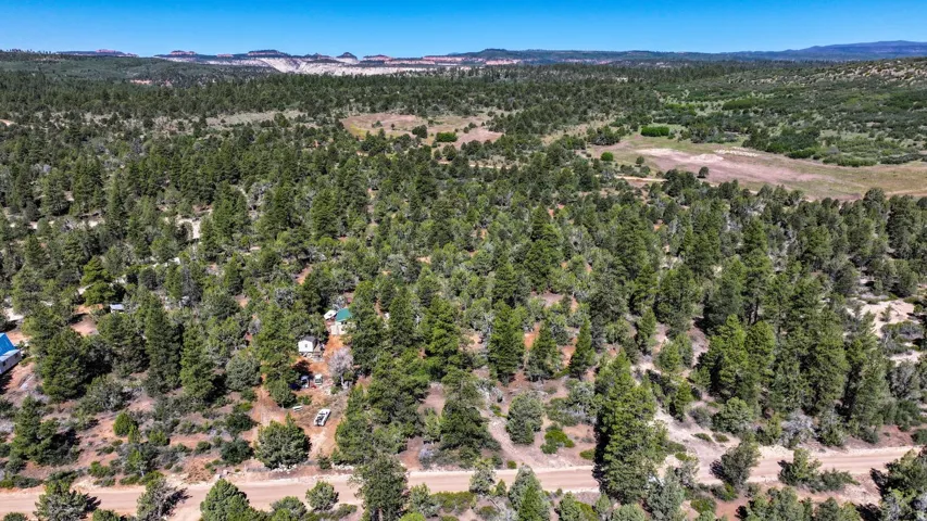 Expansive wooded landscape featuring a natural dirt road and scattered structures