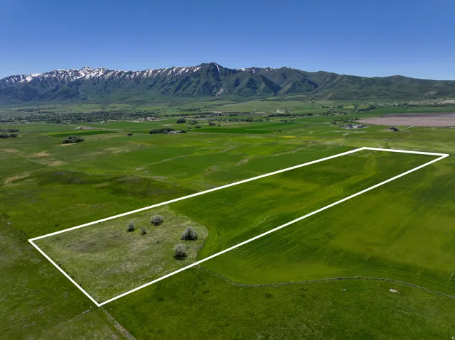 Expansive parcel of green land delineated by a white border, featuring a small cluster of trees within its bounds