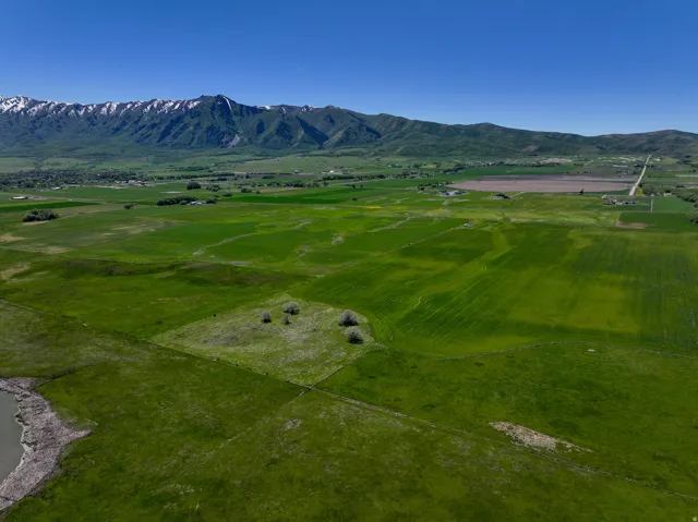 Expansive green fields with distant snow-capped mountains under a clear sky