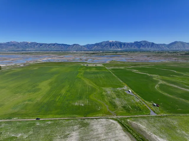 Expansive green fields with a distant mountain range backdrop