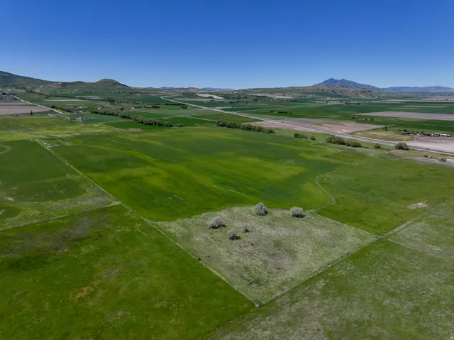 Expansive green fields under a clear blue sky, featuring distant mountains and a road
