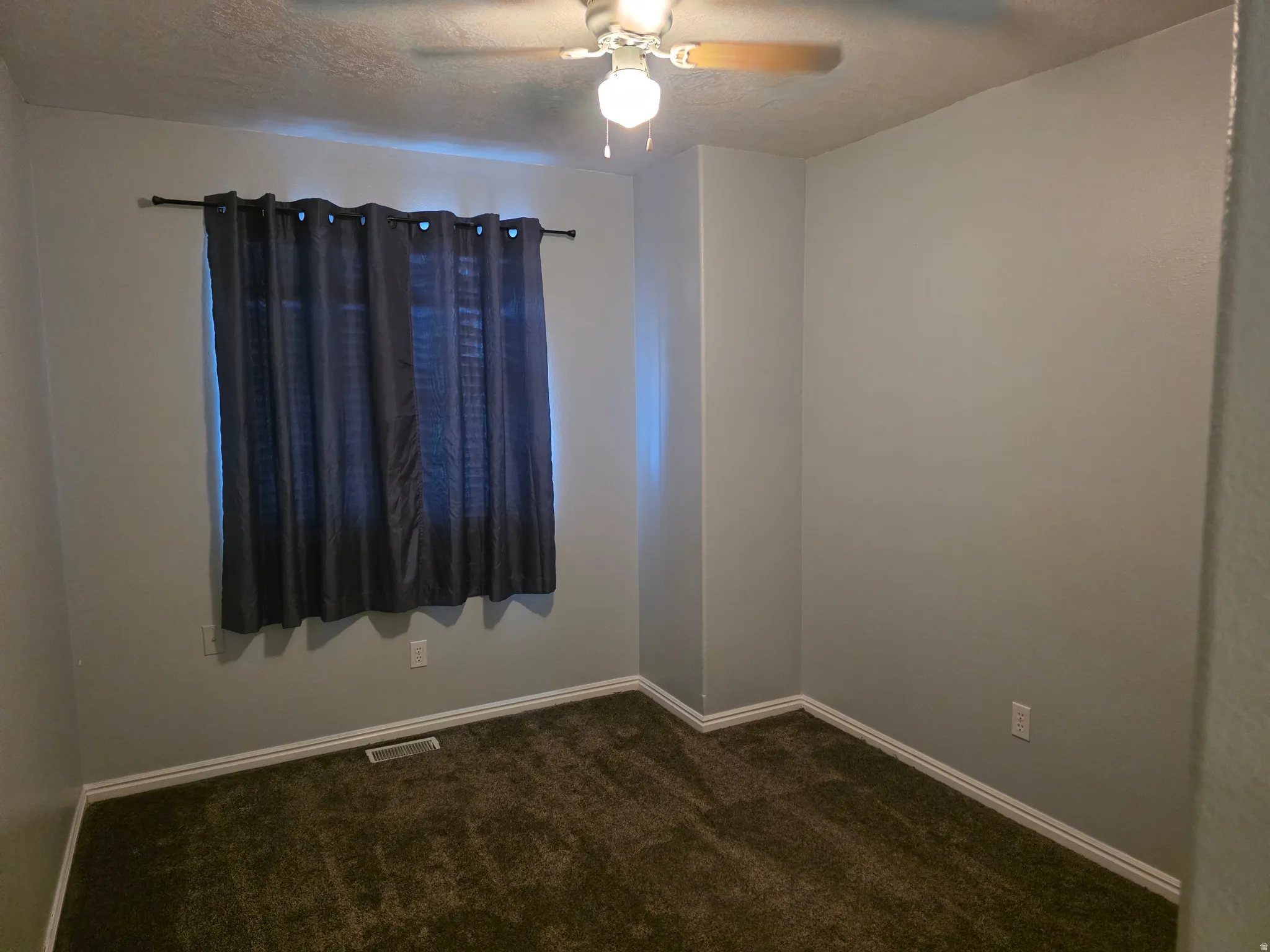 Light gray walls with white baseboards and dark brown carpet flooring