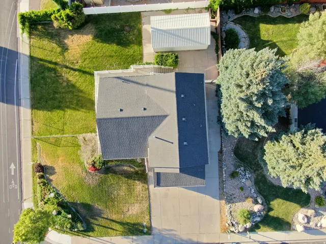 Expansive property featuring a dark-shingled roof, a concrete driveway, and mature landscaping