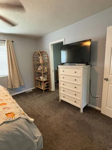 Plush carpeting underfoot, light gray wall paint, and a ceiling fan with integrated lighting