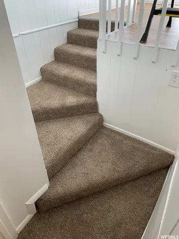 Carpeted staircase featuring a neutral-toned plush pile, white vertical paneling, and white balusters