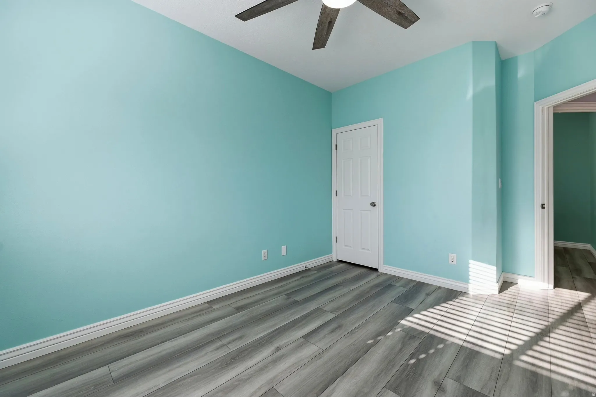 Room featuring wood-finish flooring, a ceiling fan, and a white paneled door