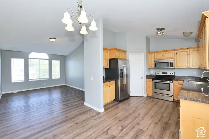 Open-concept kitchen and living area featuring wood-finish flooring