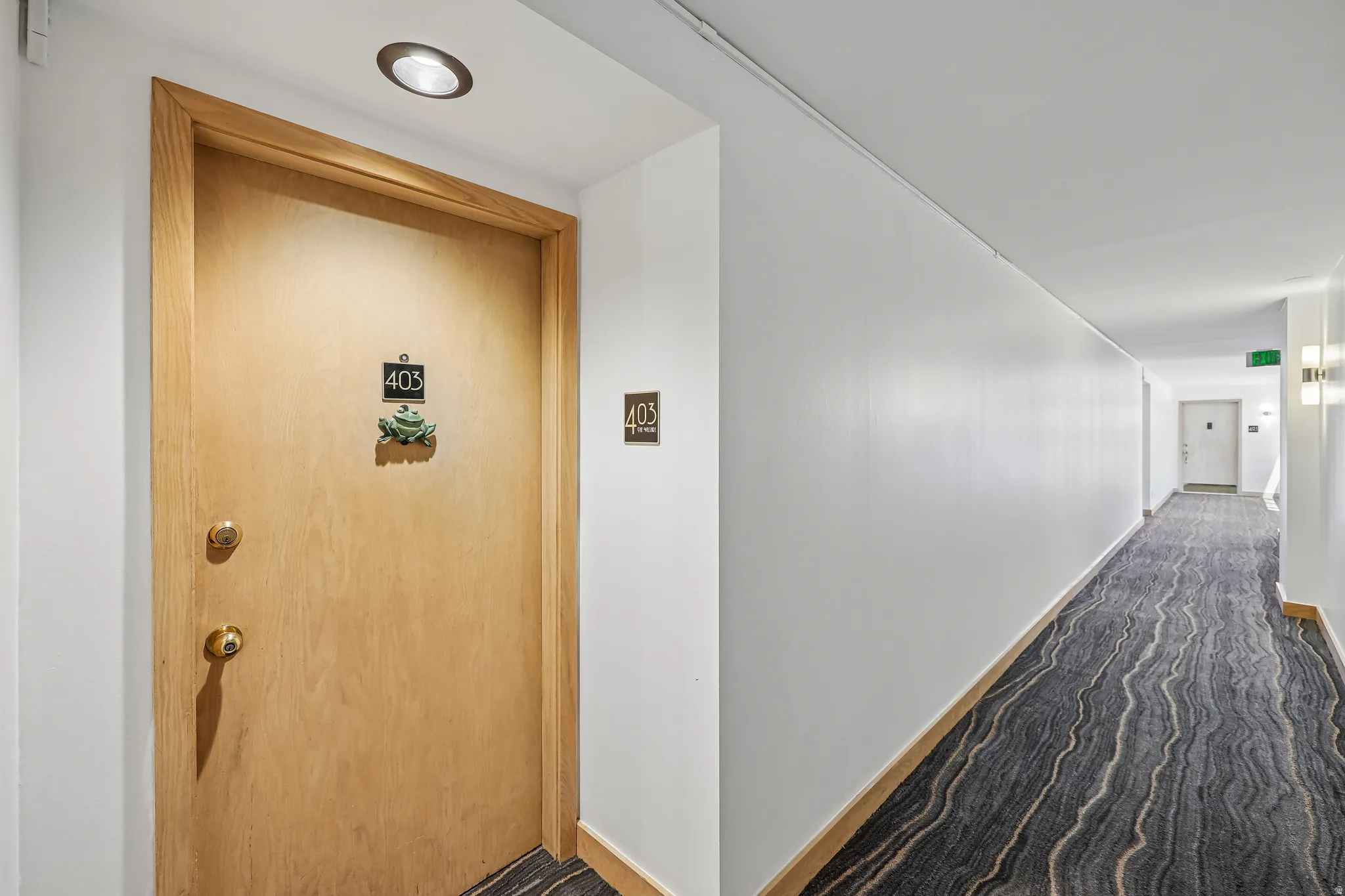 Entry door with recessed overhead lighting