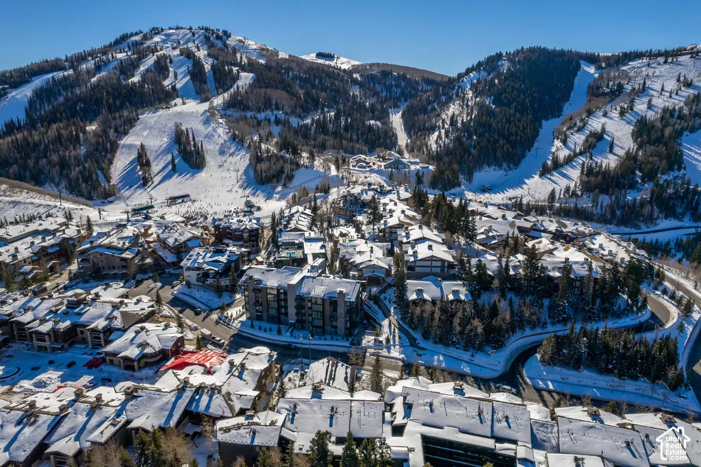 Snow-covered mountain community featuring multiple ski slopes and dense evergreen forests
