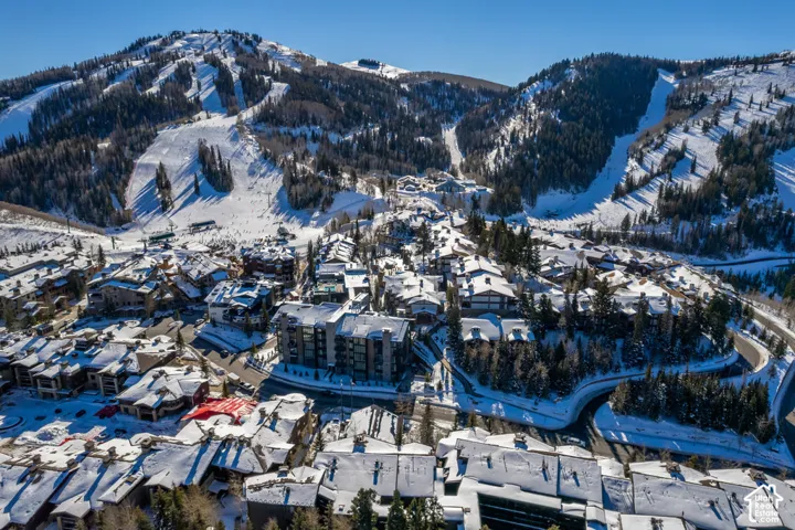 Snow-covered mountain community featuring multiple ski slopes and dense evergreen forests