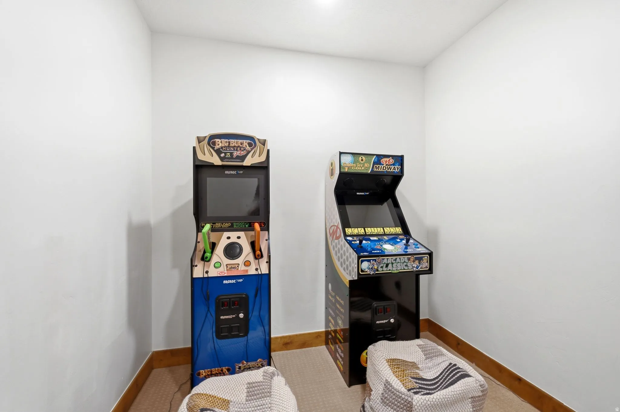 Room featuring light-colored walls, carpeted flooring, and wood-finish baseboards
