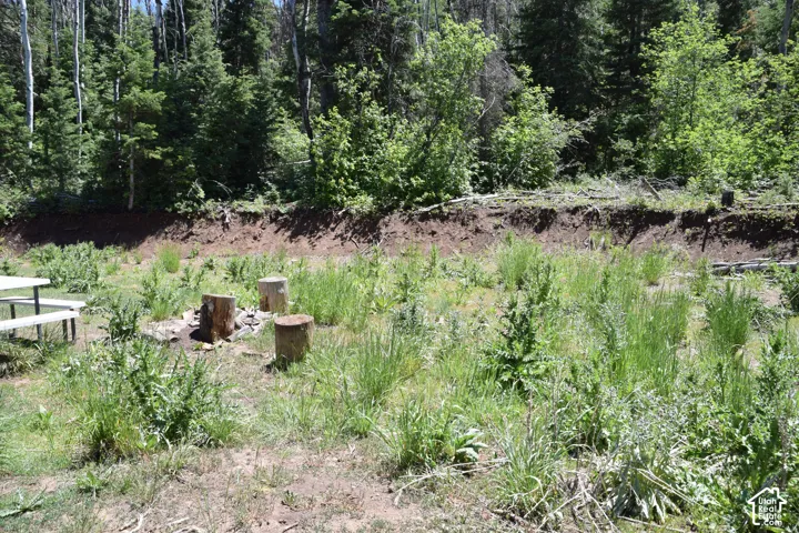Wooded landscape featuring a fire pit with log seating, a white picnic table, and abundant natural vegetation