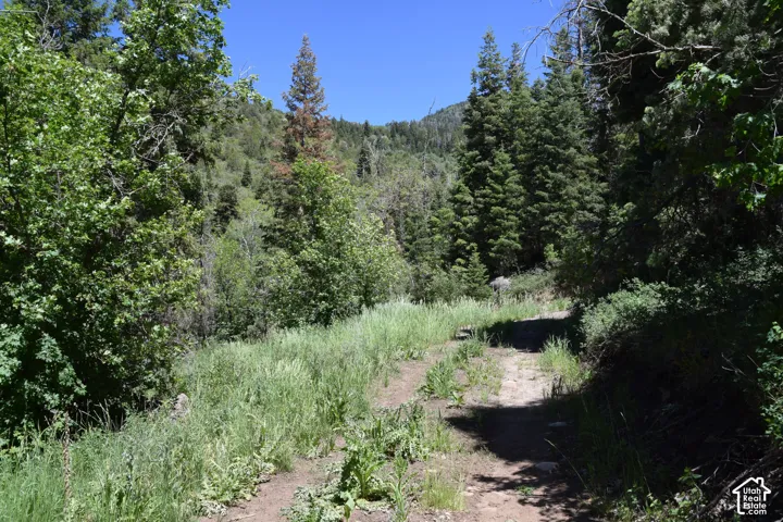 Nature