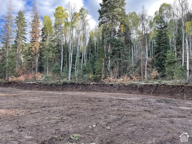 Cleared and graded lot featuring natural tree coverage, including evergreens and deciduous trees with autumn foliage