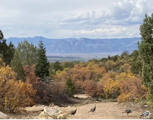 Expansive natural landscape with varied foliage displaying vibrant fall colors