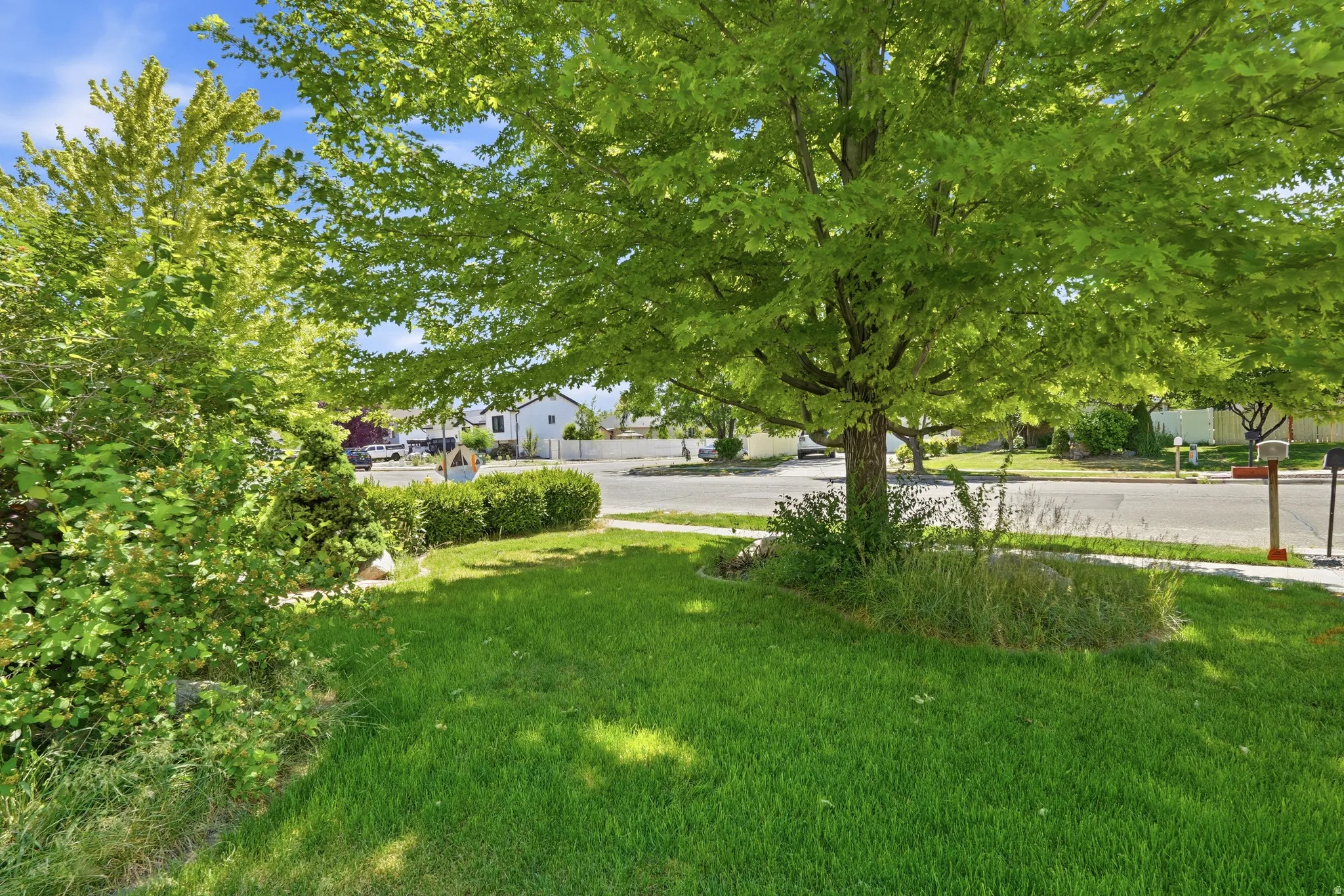 Expansive front lawn featuring mature trees and lush green grass