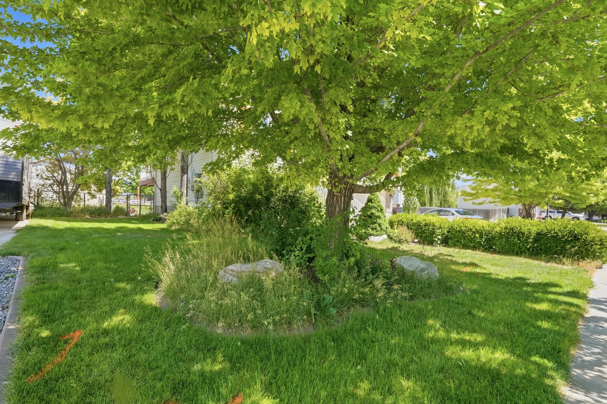 Mature tree canopy providing shade over a lush lawn