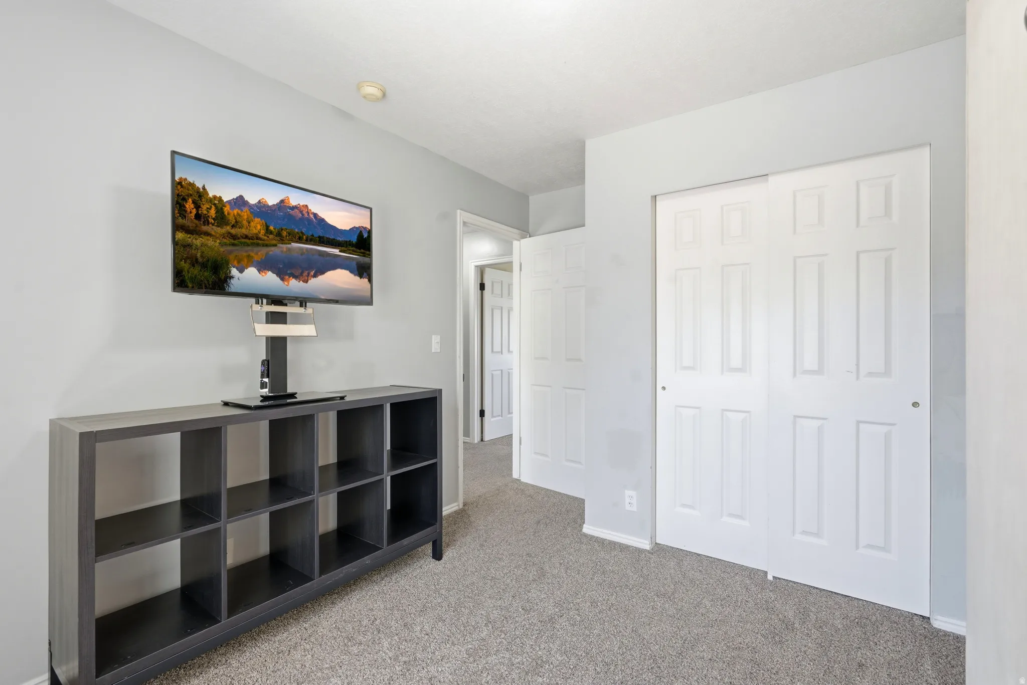Carpeted room featuring a white paneled bi-fold closet door, light gray wall paint, and a ceiling-mounted light fixture