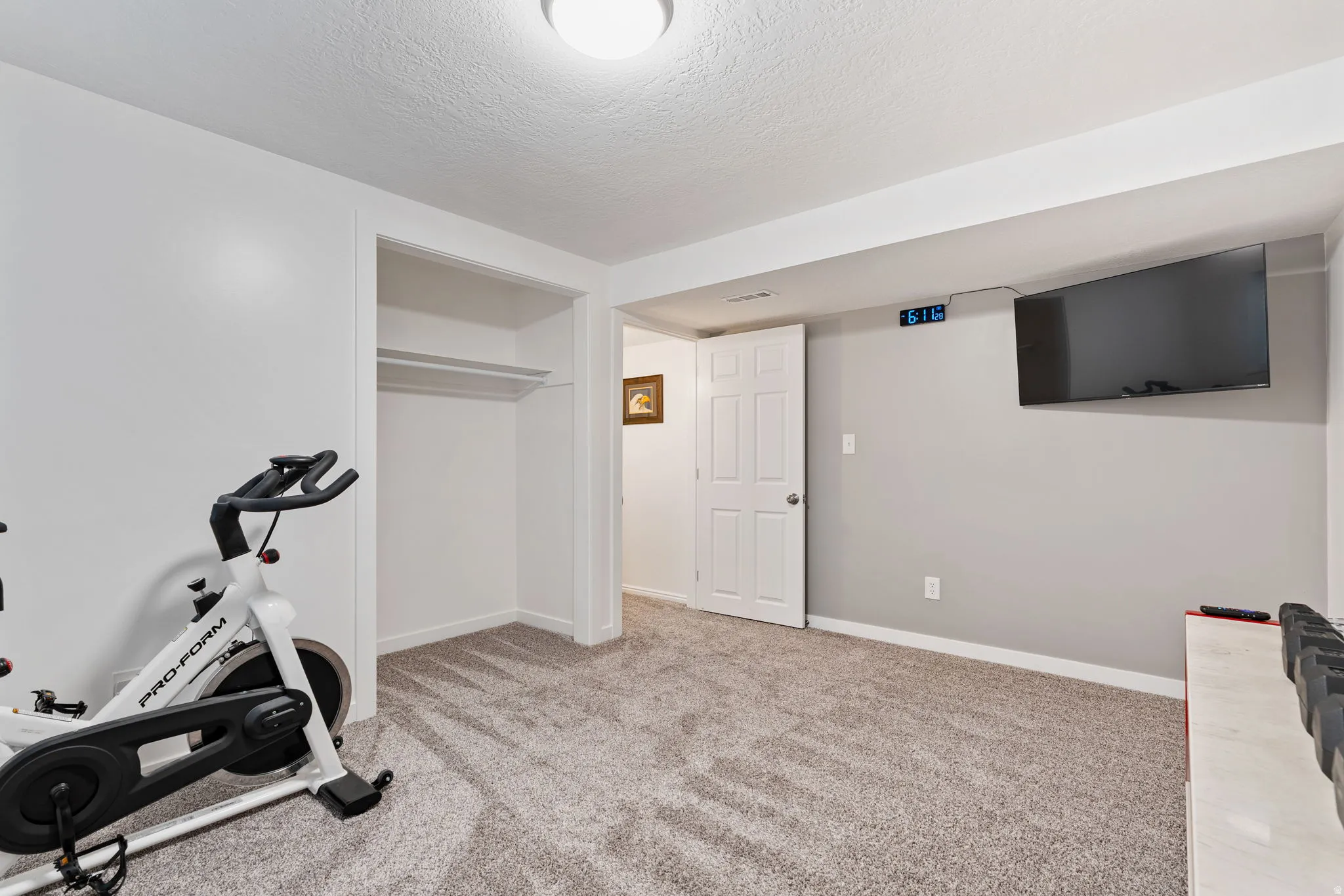 Carpeted room featuring a built-in closet with shelving, a white paneled door, and a wall-mounted television