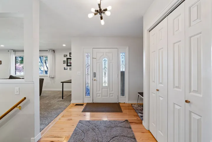 Entryway featuring a white paneled front door with decorative glass sidelights, wood-finish flooring, and a contemporary multi-bulb light fixture