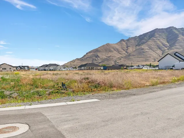 Expansive undeveloped lot with natural vegetation, featuring a paved road frontage and concrete curb