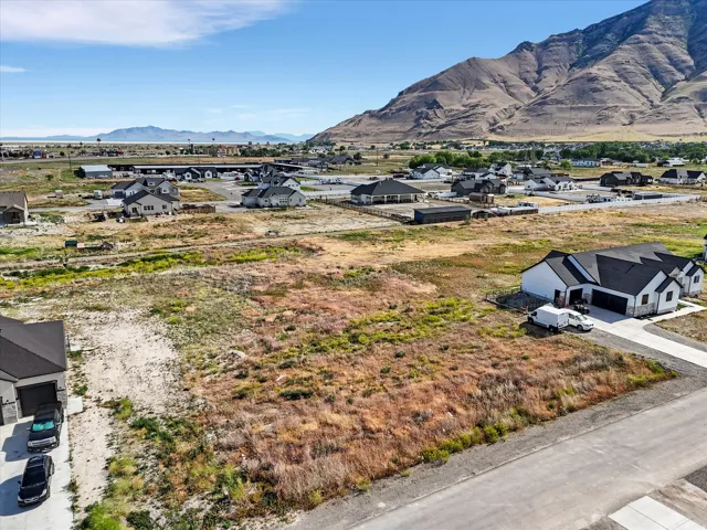 Expansive undeveloped lot presenting building potential