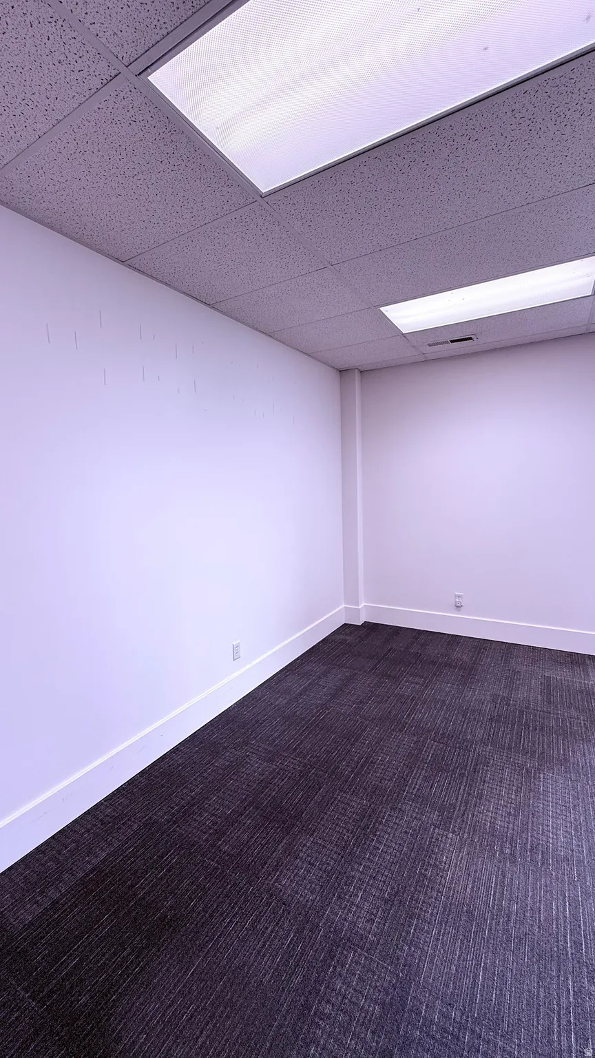 Textured carpeting, white walls, and a drop ceiling with integrated lighting